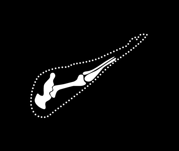 HUESOS DE JAMÓN JOSELITO: APROVECHAMIENTO MÁXIMO