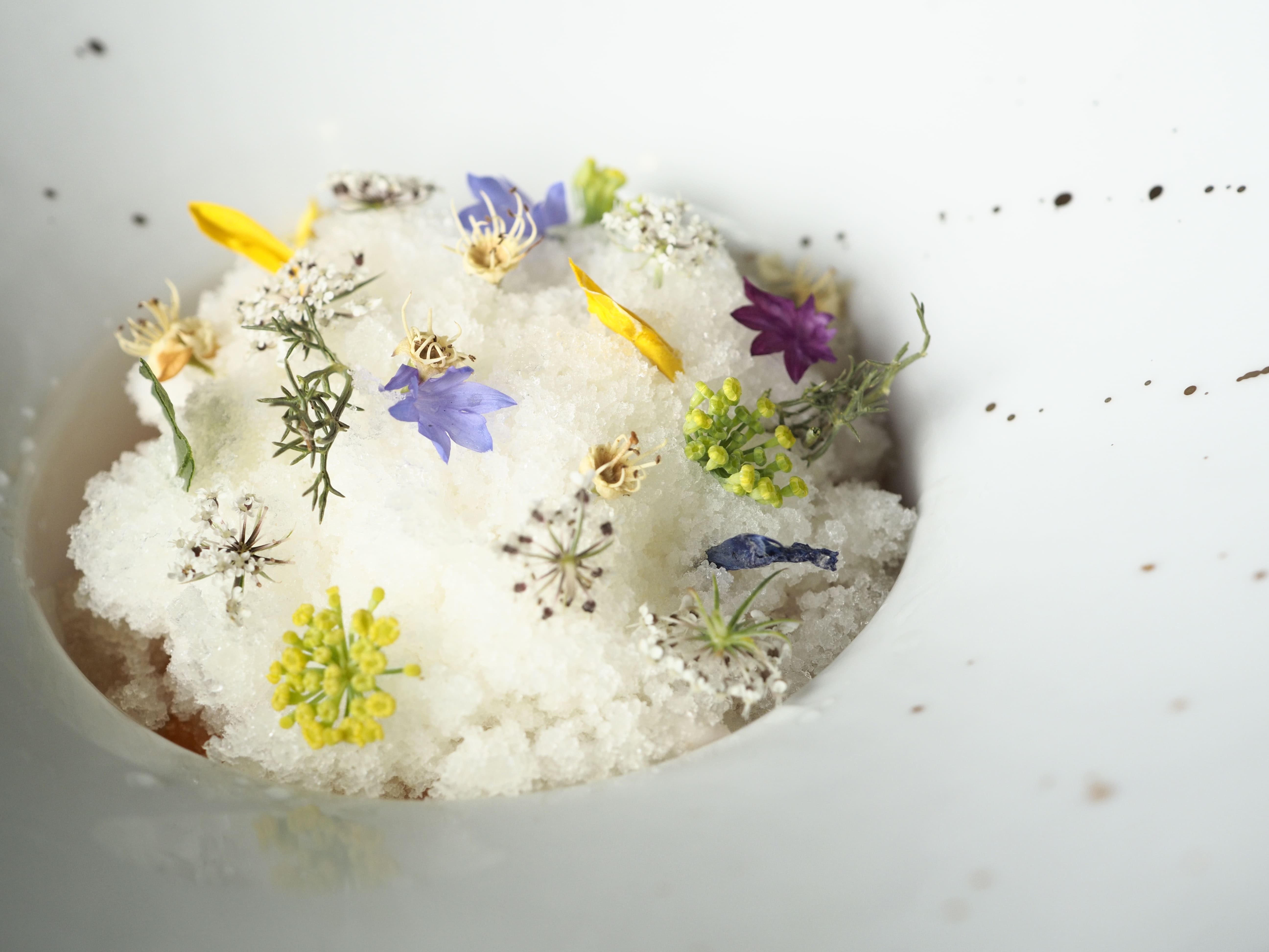 La Dehesa Joselito helada: Distintas flores y vegetales bajo 0°