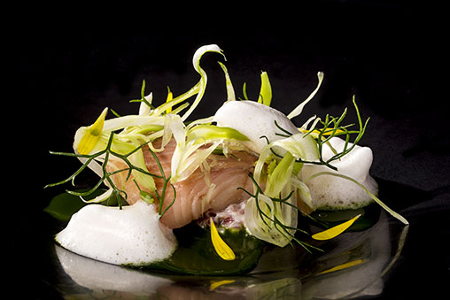Trucha de rio con jamón Joselito, follaje de hinojo y hierba de limón